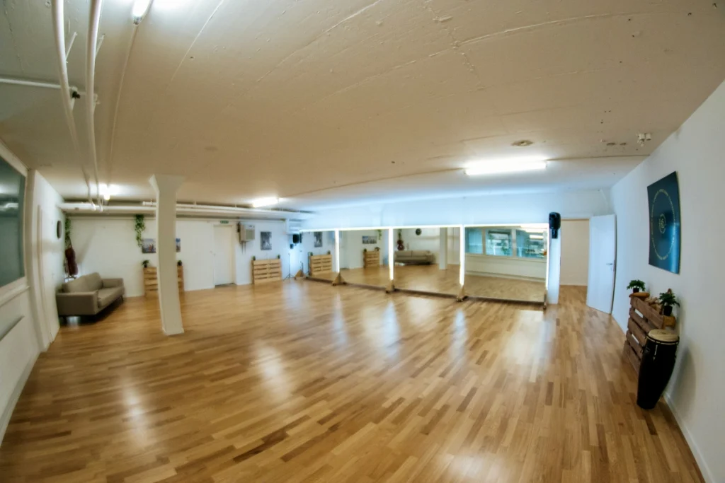 Tanzraum Danzarte Bern klein 3 - Tanzraum mieten Bern